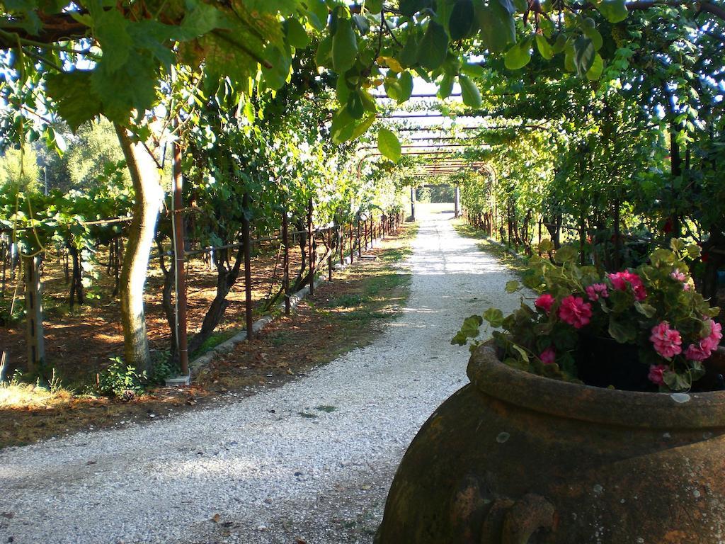Valle Degli Arci Castel Madama Экстерьер фото