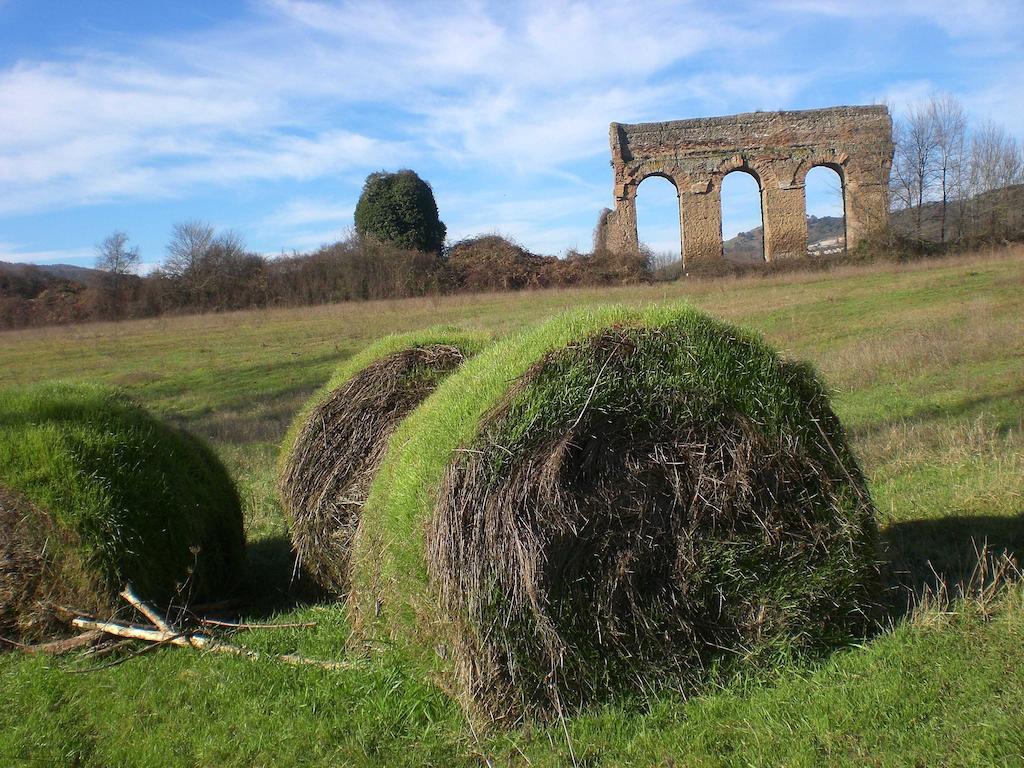 Valle Degli Arci Castel Madama Экстерьер фото